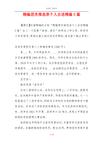 精编团员推选表个人自述精编5篇