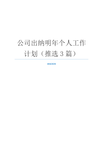 公司出纳明年个人工作计划（推选3篇）