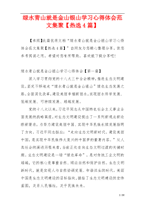绿水青山就是金山银山学习心得体会范文集聚【热选4篇】