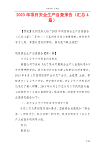 2023年项目安全生产自查报告（汇总4篇）