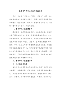 组建青年学习小组工作实施方案