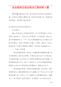 安全组织生活会亮点汇报材料3篇