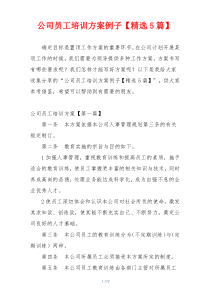公司员工培训方案例子【精选5篇】