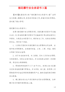 烟花爆竹安全承诺书3篇