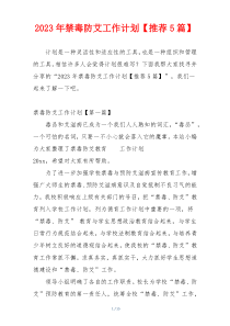 2023年禁毒防艾工作计划【推荐5篇】