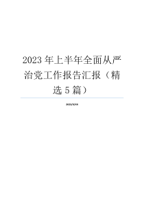2023年上半年全面从严治党工作报告汇报（精选5篇）