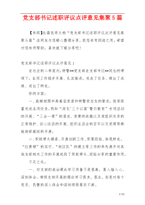 党支部书记述职评议点评意见集聚5篇