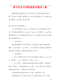春节安全专项检查报告通用3篇