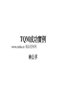 全面品质管理TQM-TQM成功实例（PPT45页）