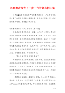 巡察整改报告下一步工作计划范例4篇