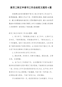 新员工转正申请书工作总结范文通用4篇