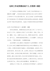 仓库工作试用期总结个人【范例5篇】