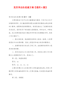 党员突击队组建方案【通用4篇】