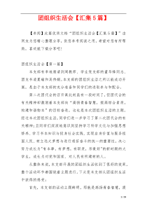 团组织生活会【汇集5篇】