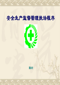 (新)安全生产监督管理执法程序