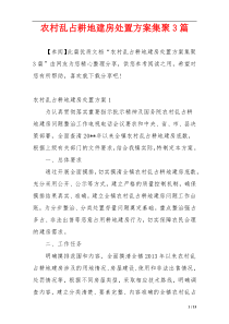 农村乱占耕地建房处置方案集聚3篇