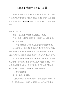 【通用】劳动用工协议书3篇