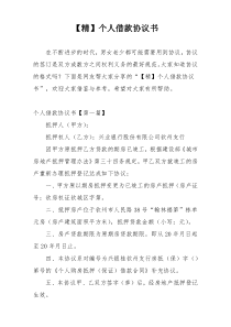 【精】个人借款协议书