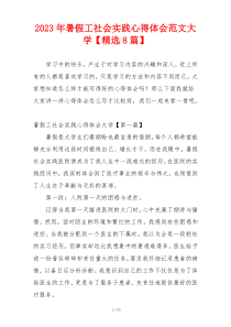 2023年暑假工社会实践心得体会范文大学【精选8篇】