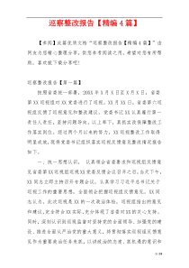 巡察整改报告【精编4篇】