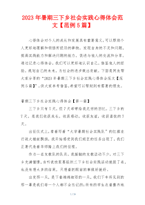 2023年暑期三下乡社会实践心得体会范文【范例5篇】