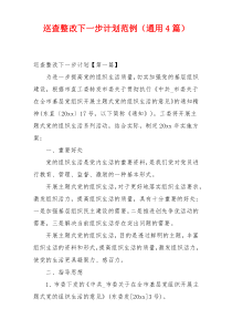 巡查整改下一步计划范例（通用4篇）