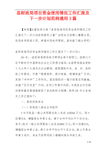 县财政局项目资金使用情况工作汇报及下一步计划范例通用3篇