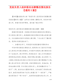 党组负责人组织落实巡察整改情况报告【通用5篇】