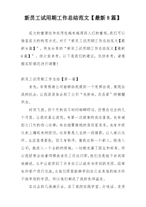 新员工试用期工作总结范文【最新8篇】