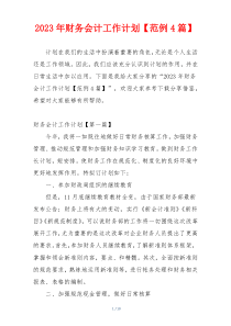 2023年财务会计工作计划【范例4篇】