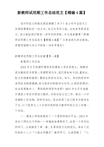 新教师试用期工作总结范文【精编4篇】