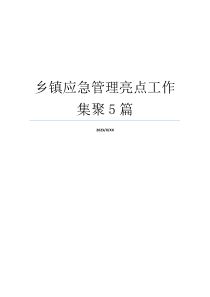 乡镇应急管理亮点工作集聚5篇