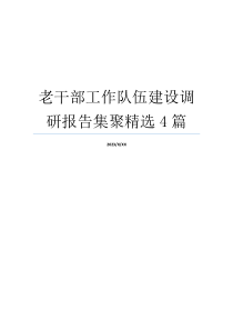 老干部工作队伍建设调研报告集聚精选4篇