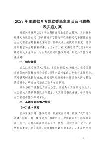 2023年主题教育专题党委民主生活会问题整改实施方案