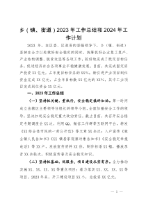 乡（镇、街道）2023年工作总结和2024年工作计划