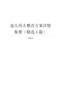 选人用人整改方案详情集聚（精选4篇）