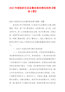 2023年度组织生活会整改落实情况范例【精选4篇】