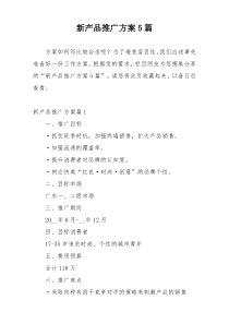 新产品推广方案5篇
