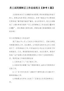 员工试用期转正工作总结范文【参考5篇】