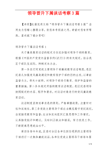 领导晋升下属谈话考察3篇