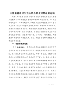 党支部班子2023年主题教育组织生活会对照检查材料