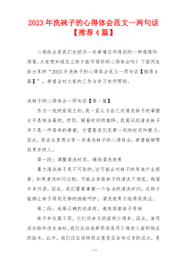 2023年洗袜子的心得体会范文一两句话【推荐4篇】