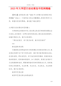 2023年大学团日活动策划书范例精编