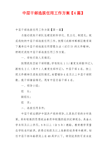 中层干部选拔任用工作方案【4篇】