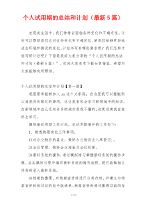 个人试用期的总结和计划（最新5篇）
