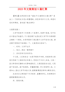 2023年文案策划5篇汇聚