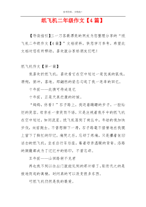 纸飞机二年级作文【4篇】