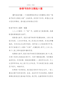 盼春节的作文精选5篇