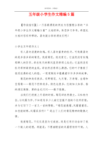 五年级小学生作文精编5篇