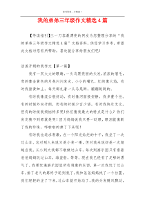 我的弟弟三年级作文精选4篇
